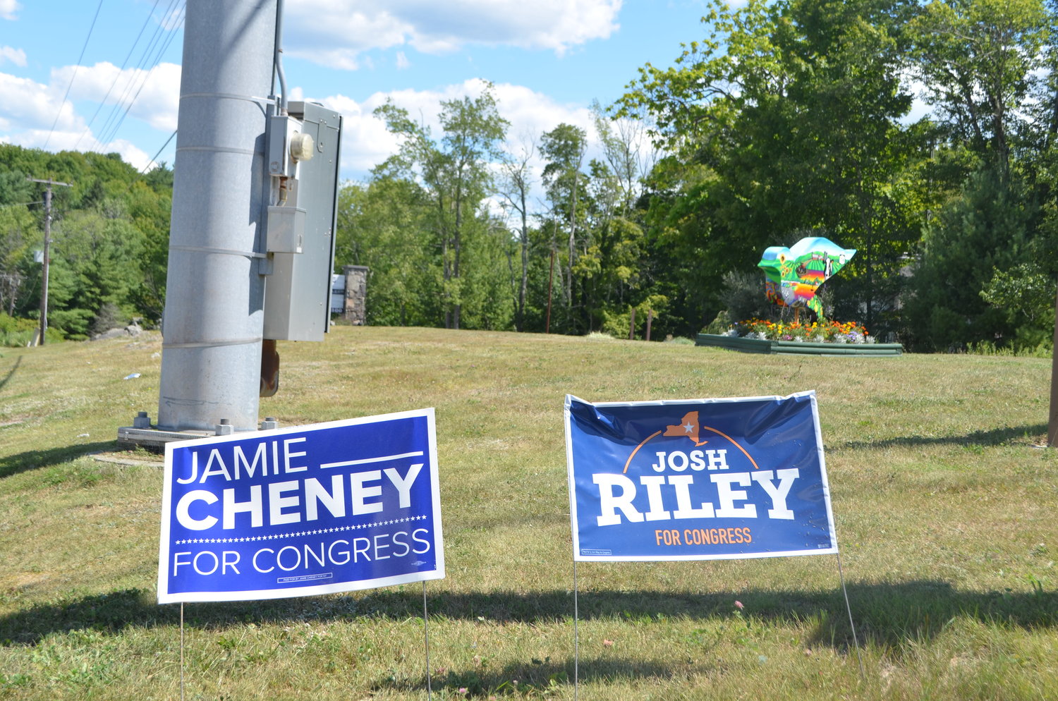 Jaimie Cheny and Josh Riley are two of the candidates vying on election day, August 23.